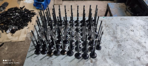 Клапан впускной выпусконой Ssang Yong D20DT D27DT Ssang Yong Kyron оригинальный номер 6650530401